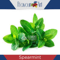 Ароматизатор Flavour Art Spearmint (Мята) 5 мл
