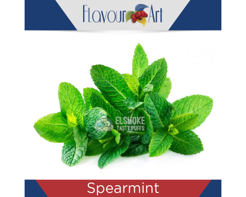 Ароматизатор Flavour Art Spearmint (Мята) 5 мл