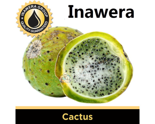 Ароматизатор Inawera Cactus (Кактус) 5 мл