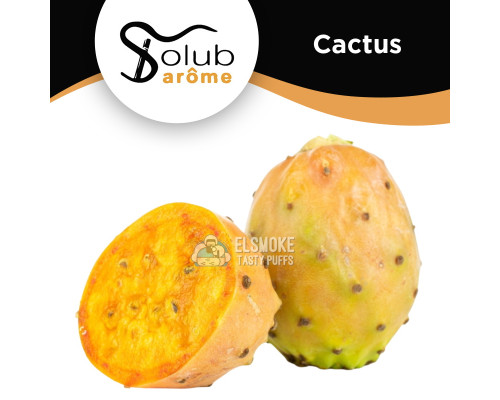 Ароматизатор Solubarome Cactus (Кактус) 5 мл