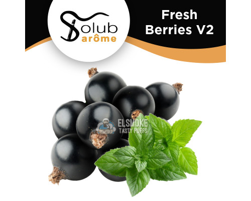 Ароматизатор Solubarome Fresh Berries V2 (Смородина с мятой) 5 мл