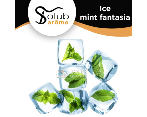 Ароматизатор Solubarome Ice mint fantasia (Мята с ментолом) 5 мл
