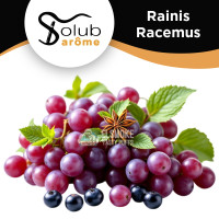 Ароматизатор Solubarome Rainis Racemus (Виноград и смородина с мятой) 5 мл