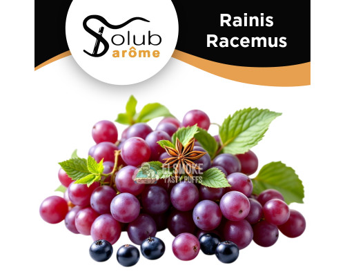 Ароматизатор Solubarome Rainis Racemus (Виноград и смородина с мятой) 5 мл