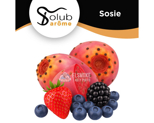 Ароматизатор Solubarome Sosie (Кактус и ягоды) 5 мл