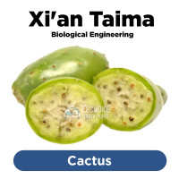 Ароматизатор Xian Taima Cactus (Кактус) 5 мл