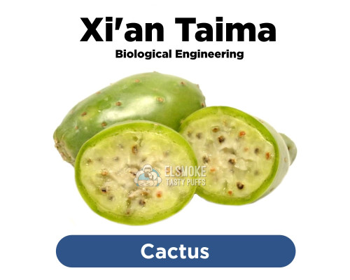 Ароматизатор Xian Taima Cactus (Кактус) 5 мл