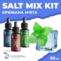 Набір для рідини Cloudfall Salt Крижана М'ята 50 мг 30 мл