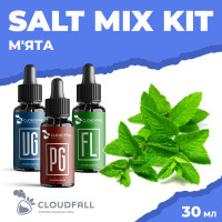 Набір для рідини Cloudfall Salt М'ята 50 мг 30 мл