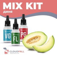 Набір для рідини CloudFall Диня 60 мл